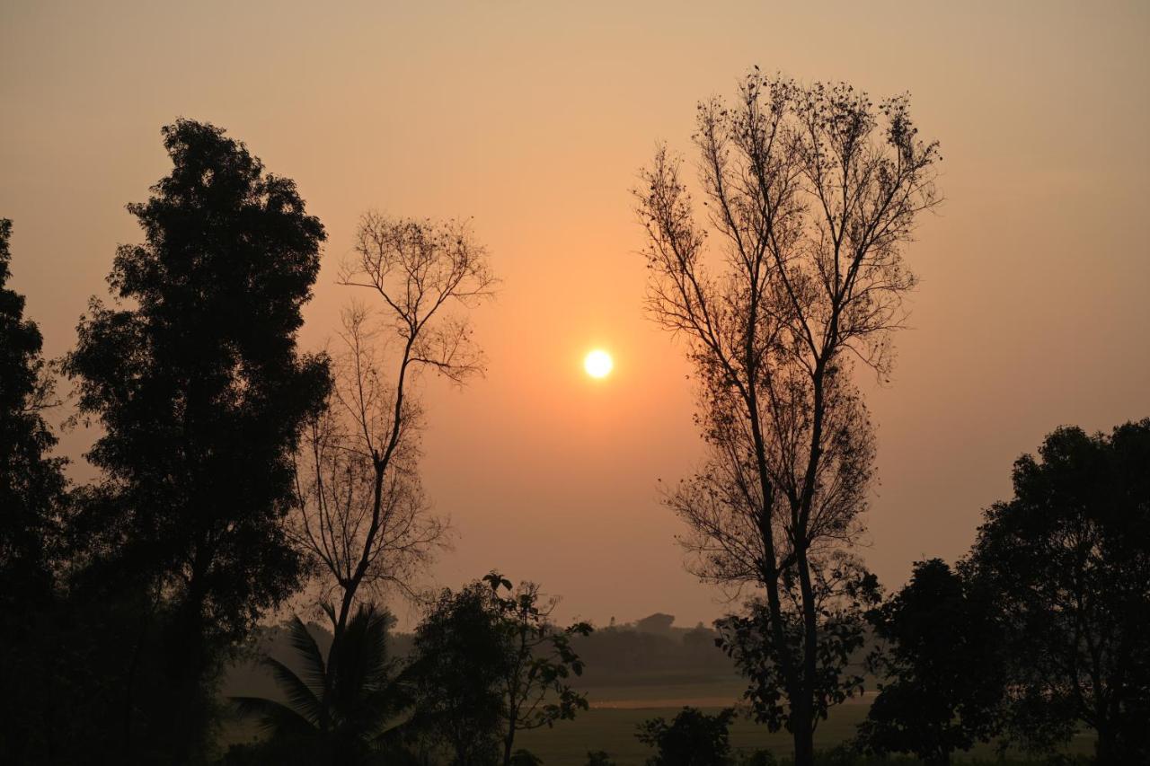 Fireflies Kabini Begūr المظهر الخارجي الصورة